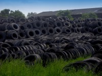 /album/fotogaleria/hpim0872-jpg/