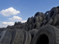 /album/fotogaleria/hpim0878-jpg/